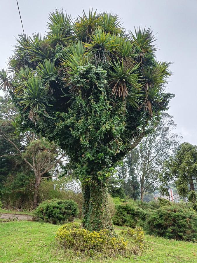 Natures Retreat Hotels And Resorts Ooty Esterno foto